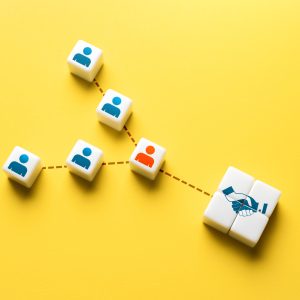 Plan Básico - Anual